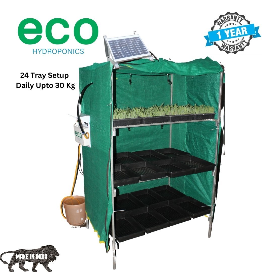 Solar Eco Hydroponics